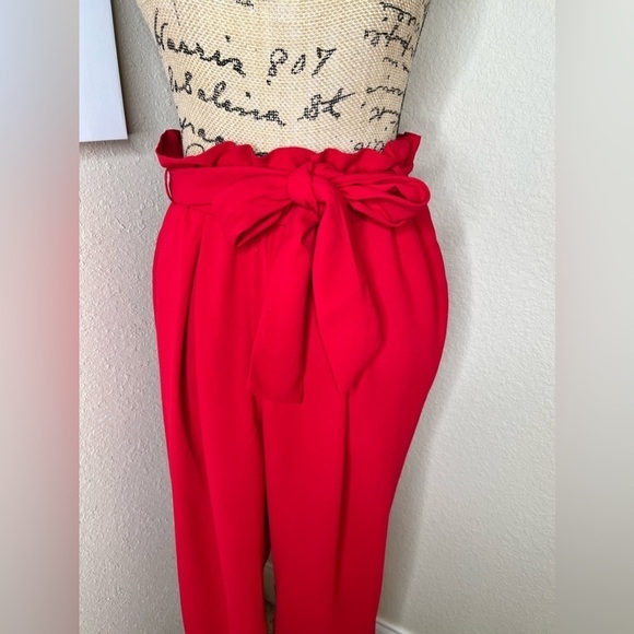 Lane Bryant Belted Slim Leg Red Ankle Pants Size 16 - Picture 4 of 14